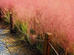 -汉长安城未央宫国家考古遗址公园