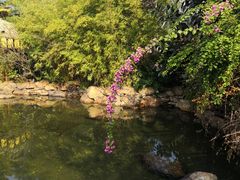 -清远熹乐谷温泉度假酒店