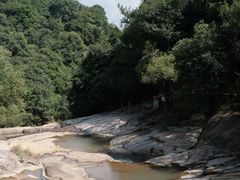 -广州白江湖森林公园