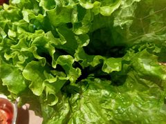 -西塔拾玖泥炉烤肉·活鳗(芝麻街店)