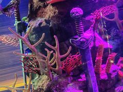 -沈阳海洋探索中心