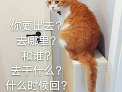 -浔岚云舍mist静谧观景美宿(丽江古城店)