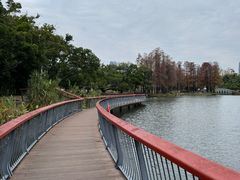 -四海公园(南山区)