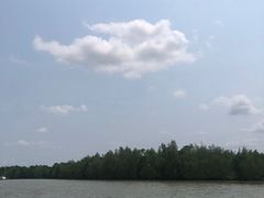 -东寨港红树林旅游区