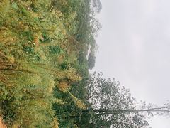 -道林古镇