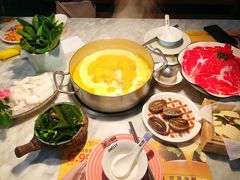 -澳美徕·港式花胶鸡火锅(高新万达店)