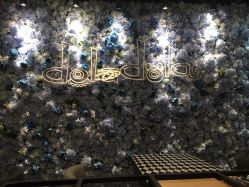 -doladola(徐家汇店)