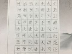 -赵汝飞练字硬笔书法(静安大融城校区)