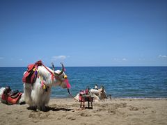 -青海湖国家重点风景名胜区