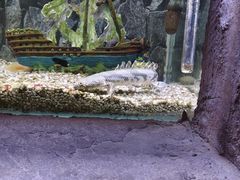 -台州海洋世界