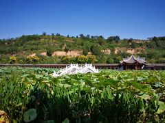 -渭南桃花源民俗文化园