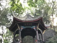 -子昂故里文化旅游区