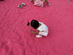 -苏州太湖西山岛开心农场