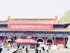 -神州牡丹园