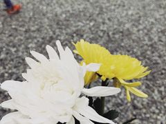 -侵华日军南京大屠杀遇难同胞纪念馆