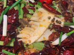 -老板恋上鱼(恒隆广场店)