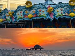 -烟台海昌鲸鲨海洋公园