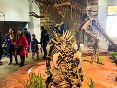 -自贡恐龙博物馆