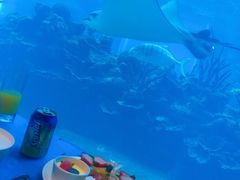 -海棠湾洲际-涛·海底餐厅·美人鱼·自助餐·海底隧道