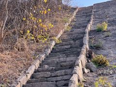 -白水寺森林公园