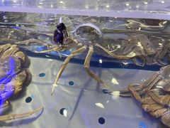 -澜悦港海鲜体验主题餐厅