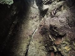 -雁荡山三折瀑景区