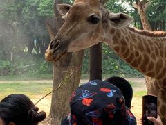 -仁信老铺(嘉信店)