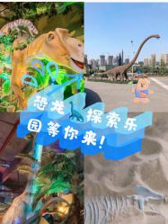 -恐龙探索乐园(磁器口店)