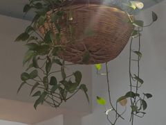 -懒人盐府人家·自贡大麻鱼(安贞店)