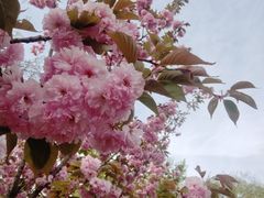 -大连植物园