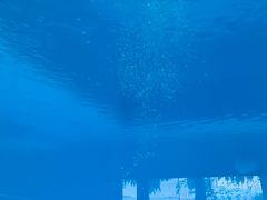 -上海潜殿潜水中心