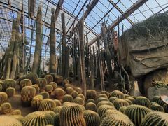 -南山植物园