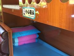 -崇明东平国家森林公园烧烤房车露营地