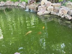 -上海虹桥迎宾馆