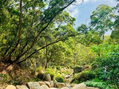 -梧桐山风景名胜区