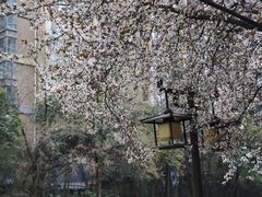 -木塔寺遗址生态公园