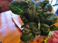 -云朵石锅鱼·野生菌餐厅(蒗放店)