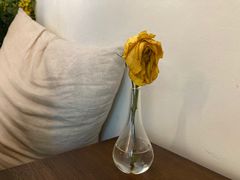 -白熊咖啡(闽江大道店)