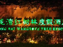 IMAG4670-三亚亚龙湾红树林度假酒店