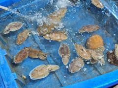 -蓝湾碧波·老字号·疍家非遗海上餐厅