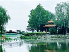-白洋淀景区