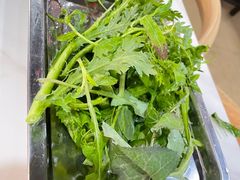 -品品野菜铜火锅(文汇路店)