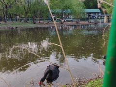 -长白岛森林公园