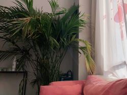 点击看大图 -防空洞舞蹈·瑜伽