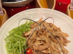 -鸽子窝(青塔店)
