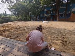 -锦园餐厅(九龙湖开元度假村店)