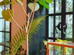 -一尺花园(安和花园店)