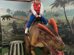 -自贡恐龙博物馆