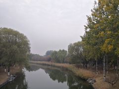 -大兴滨河森林公园