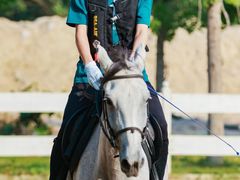 -北京群众马术培训基地